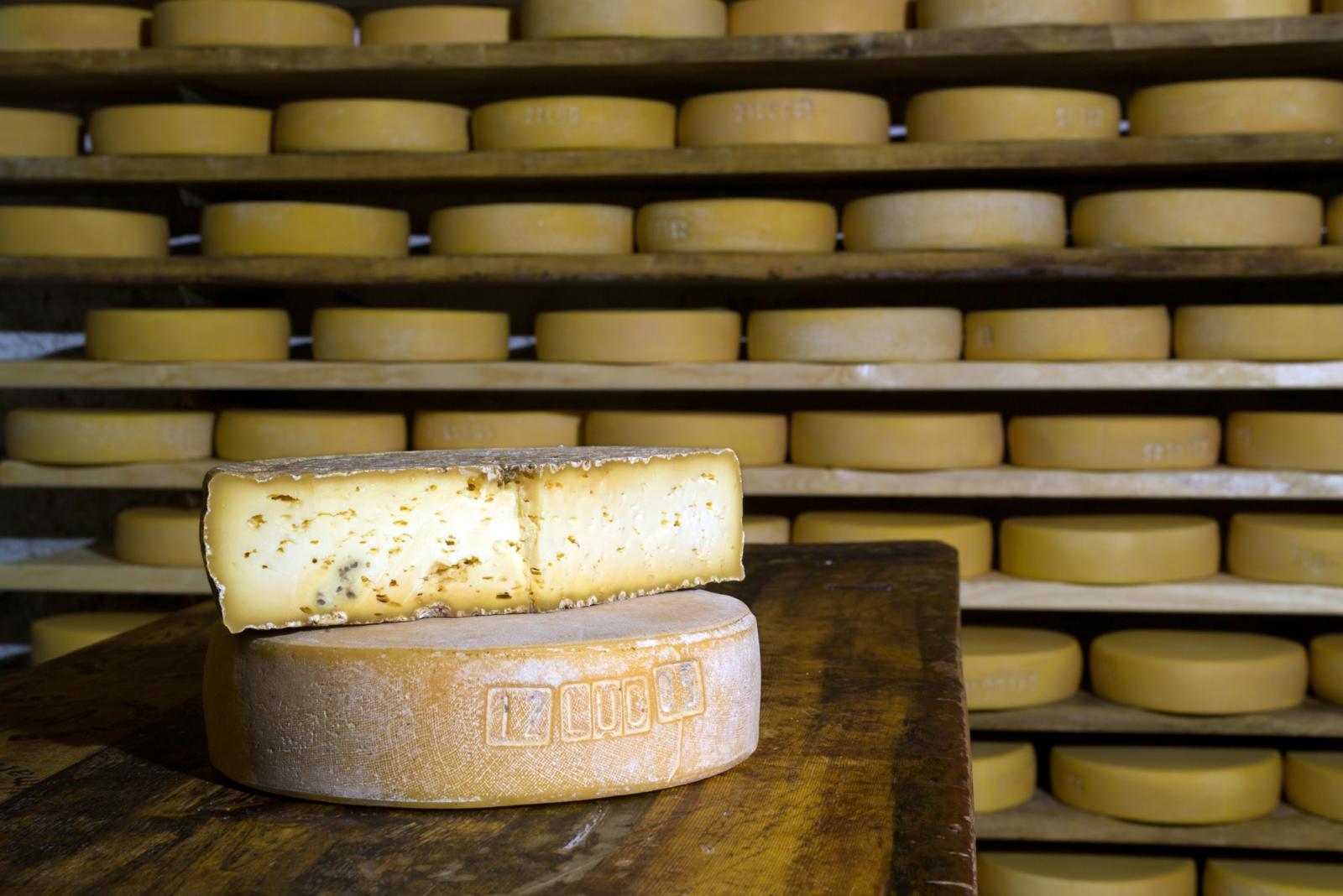 Moisture & temperature influence on cheese in storage – Marche US