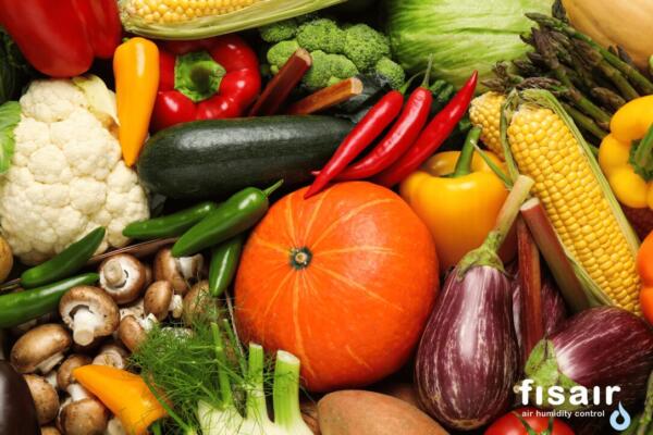 Día Mundial de la Alimentación